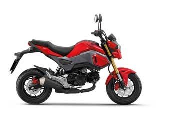Honda MSX 125 Grom uitlaat