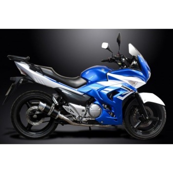 Delkevic volledig systeem Round Carbon 200mm zonder e-keur - GW250 Inazuma (2013-2018)