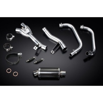 Delkevic volledig systeem Oval Carbon 225mm zonder e-keur - GW250 Inazuma (2013-2018)