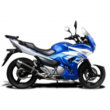 Delkevic volledig systeem Round Carbon 350mm zonder e-keur - GW250 Inazuma (2013-2018)