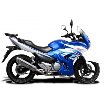 Delkevic volledig systeem Round RVS 350mm zonder e-keur - GW250 Inazuma (2013-2018)