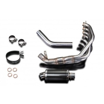 Delkevic volledig systeem Oval Carbon 225mm zonder e-keur - CBR900RR FIREBLADE (1992-1999)