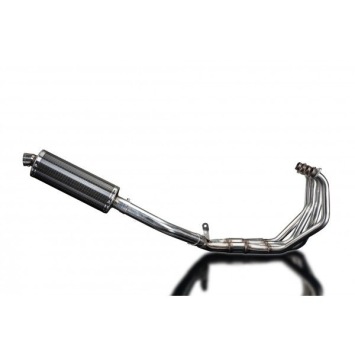 Delkevic volledig systeem Oval Carbon 350mm zonder e-keur - CBR900RR FIREBLADE (1992-1999)