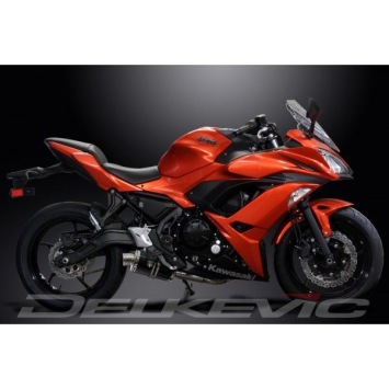 Delkevic volledig systeem Oval Carbon 225mm zonder e-keur - Ninja 650 (2017-2020)