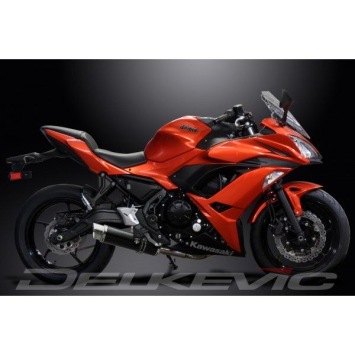 Delkevic volledig systeem Round Carbon 350mm - Ninja 650 (2017-2020)