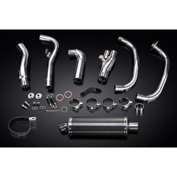 Delkevic volledig systeem Oval Carbon 350mm zonder e-keur - NINJA 300 (2013-2019)