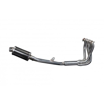 Delkevic volledig systeem Oval Carbon 225mm zonder e-keur - CBR1100XX BLACKBIRD (1996-2009)