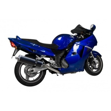 Delkevic volledig systeem Oval Carbon 450mm zonder e-keur - CBR1100XX BLACKBIRD (1996-2009)