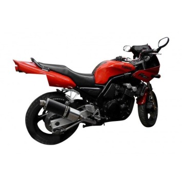 Delkevic volledig systeem Oval Carbon 350mm zonder e-keur - FZS600 FAZER (1998-2003)