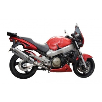 Delkevic volledig systeem Oval RVS 450mm zonder e-keur - X11 CB1100SF (1999-2002)