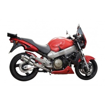 Delkevic volledig systeem Oval RVS 225mm zonder e-keur - X11 CB1100SF (1999-2002)