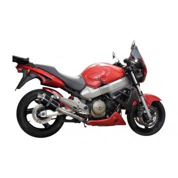 Delkevic volledig systeem Oval Carbon 225mm zonder e-keur - X11 CB1100SF (1999-2002)