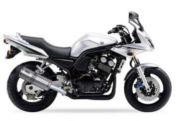 IXIL Hexoval Xtrem Evolution RVS Einddemper met E-keur Yamaha FZS 600 Fazer 1998 - 2004